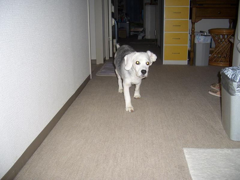 c0179048_2261690.jpg