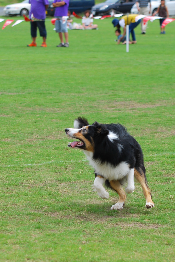 e0111449_20115122.jpg