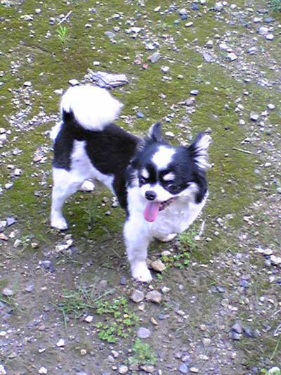 f0046449_038614.jpg