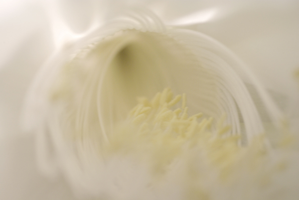 f0176353_13342313.jpg