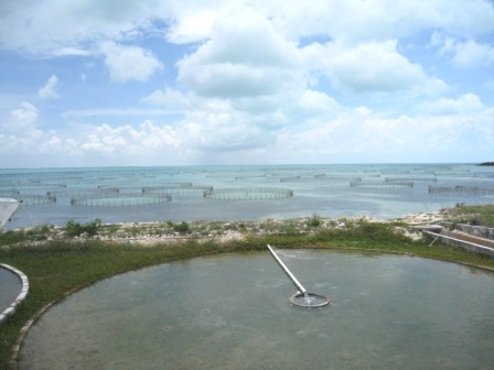 b0173754_22521434.jpg