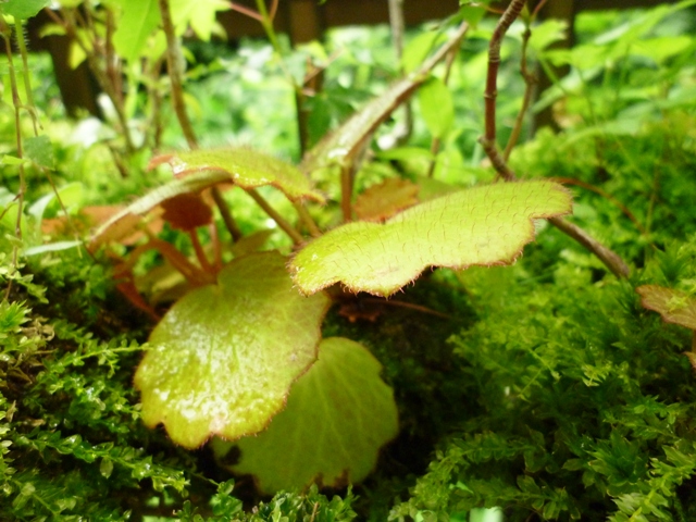 b0093660_018264.jpg