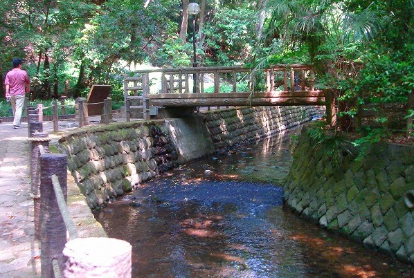 c0119160_21501918.jpg