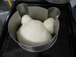 f0168760_8483186.jpg