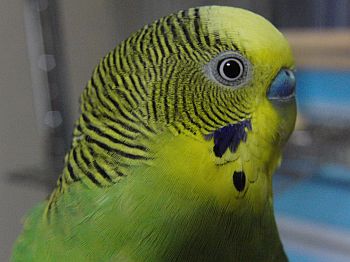 f0196665_0113723.jpg
