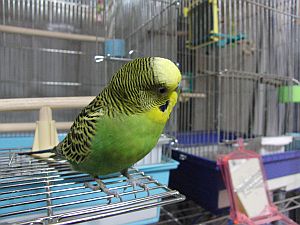f0196665_0171123.jpg