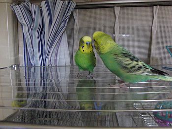 f0196665_0275590.jpg