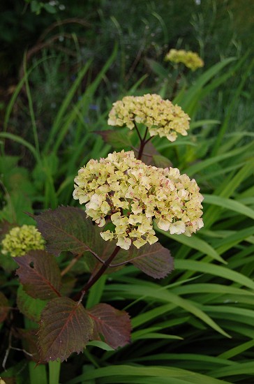 e0128367_015347.jpg