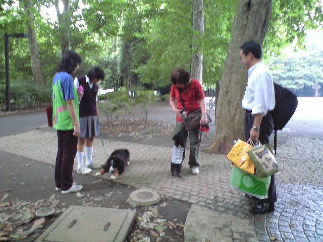 c0177668_19381990.jpg