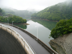 c0182171_10454419.jpg