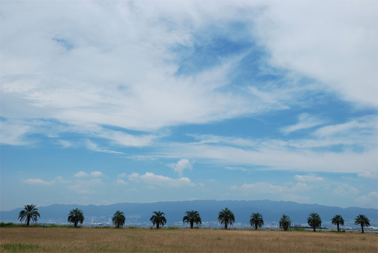 f0108478_20153698.jpg