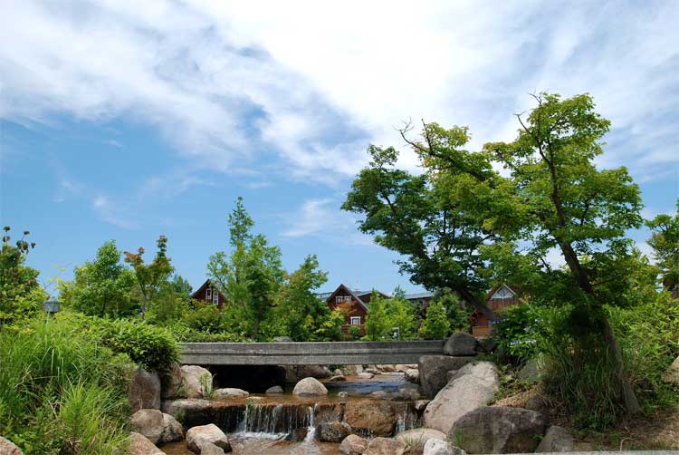 f0108478_20311153.jpg