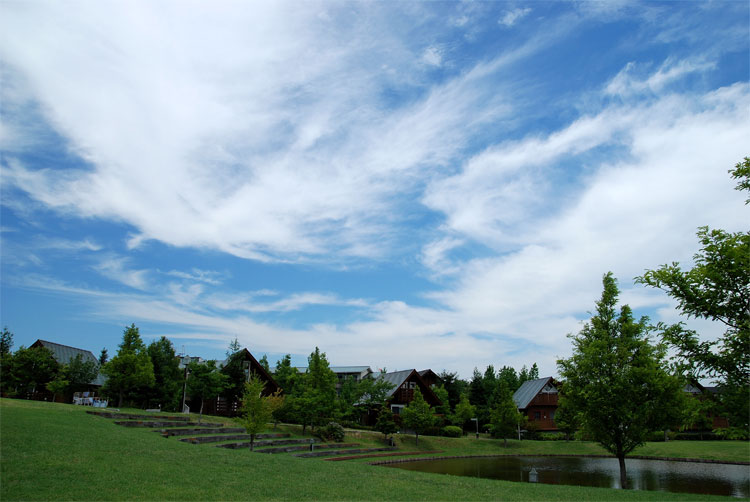 f0108478_20321084.jpg
