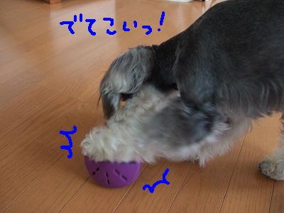 b0143879_16331146.jpg