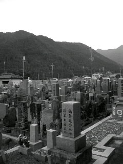 f0100480_22555126.jpg