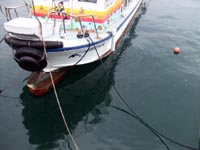 c0051781_0183313.jpg