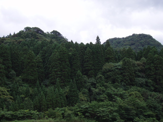 e0125483_058152.jpg