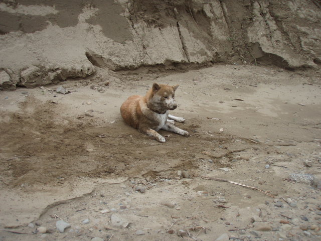 e0125483_1395050.jpg