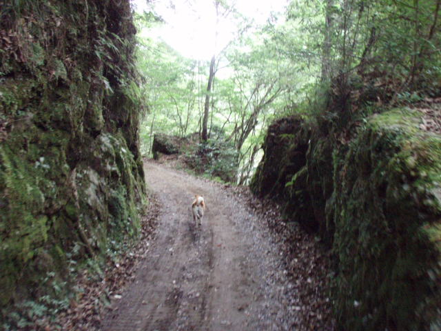 e0125483_1511417.jpg