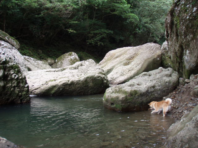 e0125483_157219.jpg