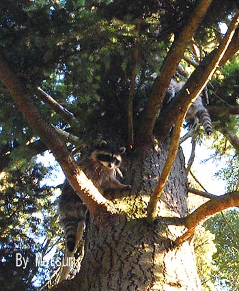 f0022388_55956.jpg