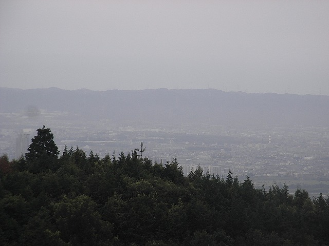 a0118289_8405197.jpg