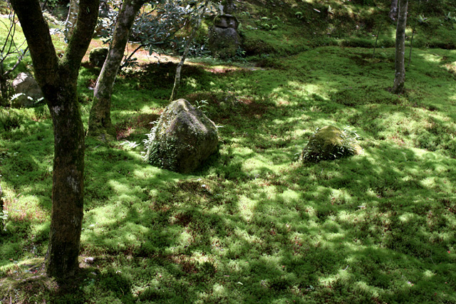 b0067789_23171436.jpg