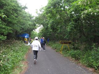 d0005290_642698.jpg