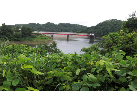b0169292_733822.jpg
