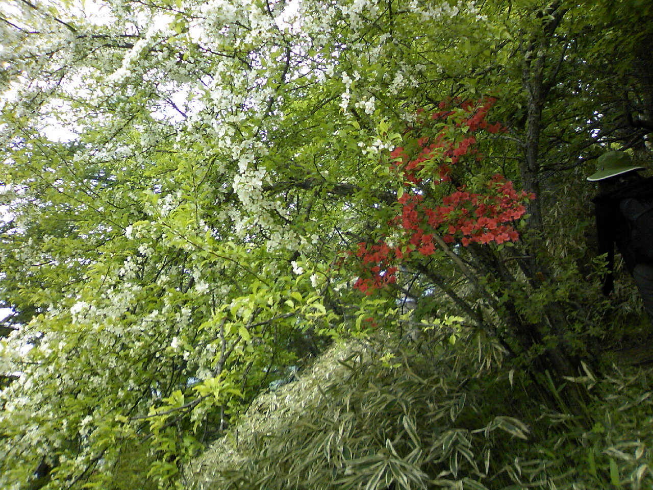 c0018195_23291643.jpg