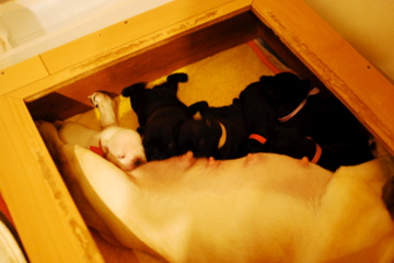 f0136098_038352.jpg