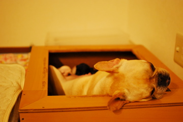 f0136098_0402213.jpg
