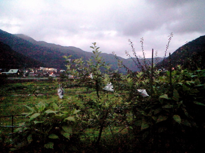 f0135908_7364766.jpg