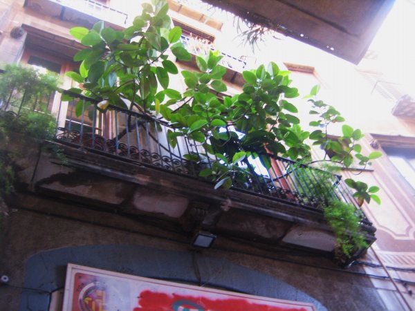 b0064411_7344326.jpg