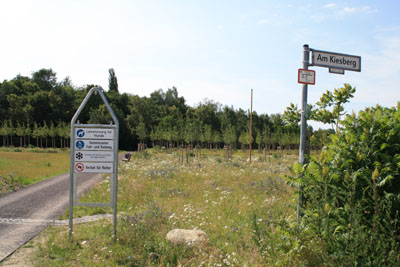 e0038811_472012.jpg