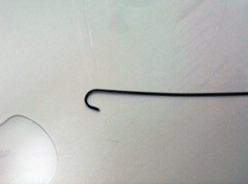 a0055913_0415070.gif