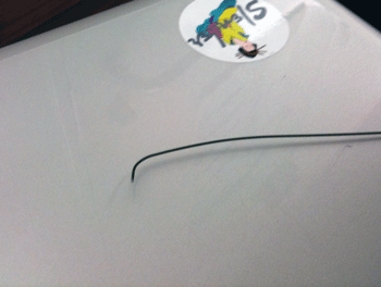 a0055913_042895.gif