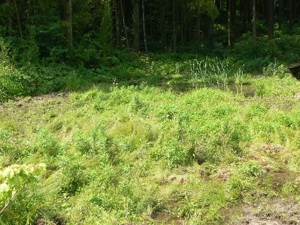 e0002314_15444829.jpg