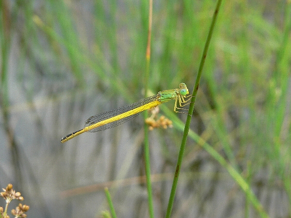 e0002314_15465016.jpg