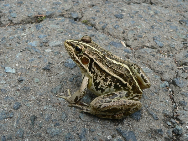 e0002314_16185469.jpg