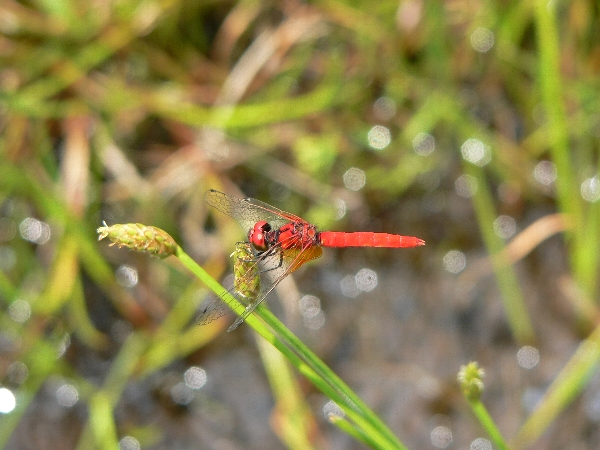 e0002314_1654155.jpg