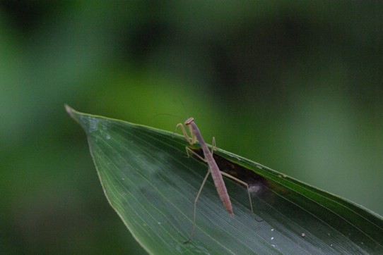 c0152317_20513989.jpg