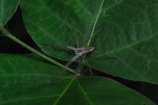 c0152317_20515369.jpg