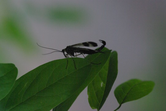 c0152317_2052679.jpg