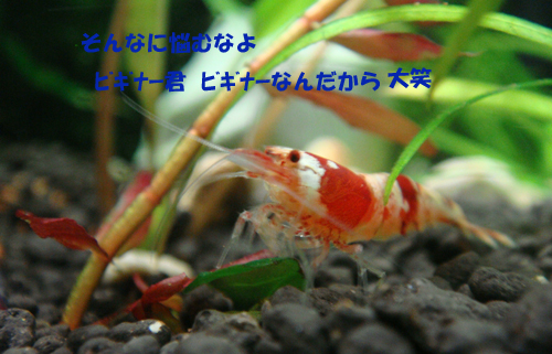 d0151521_23103941.jpg
