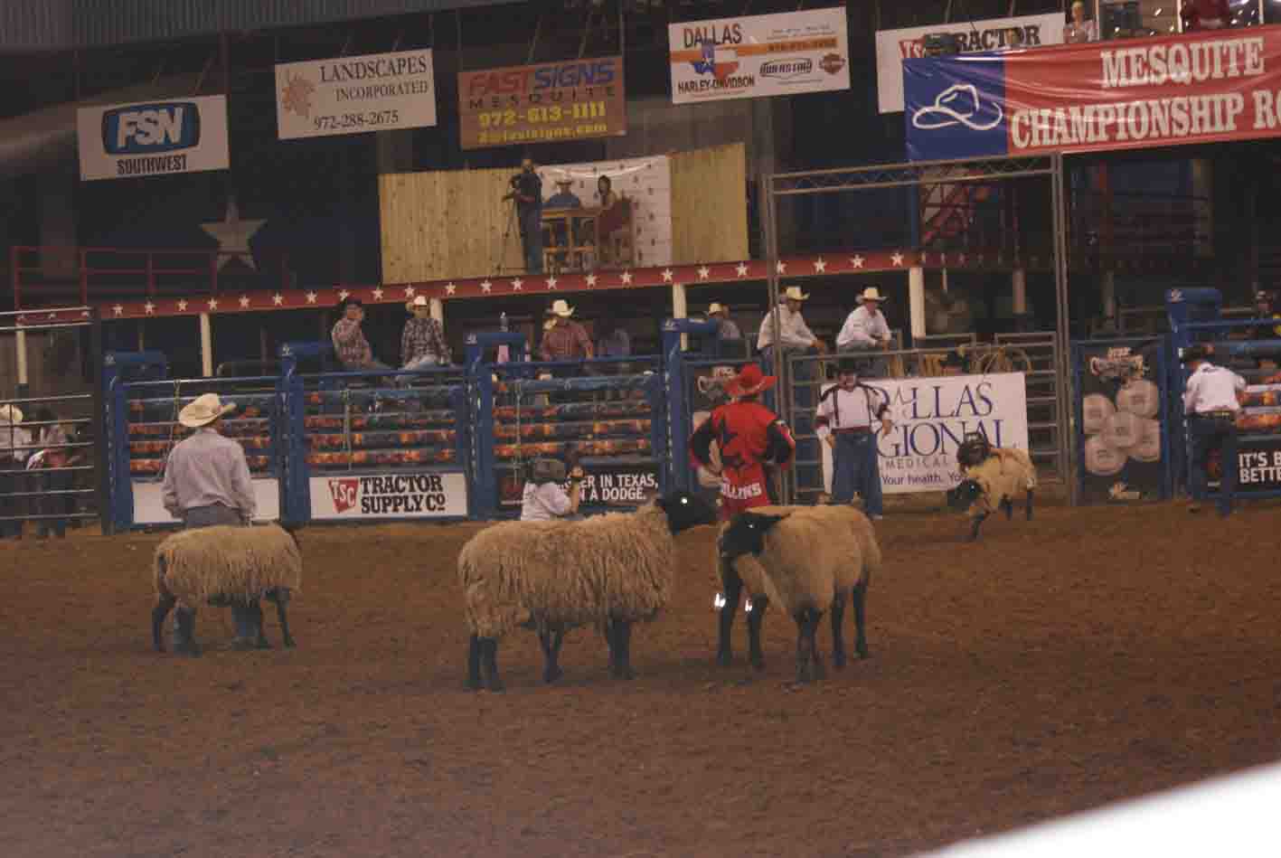 a0114622_10104777.jpg