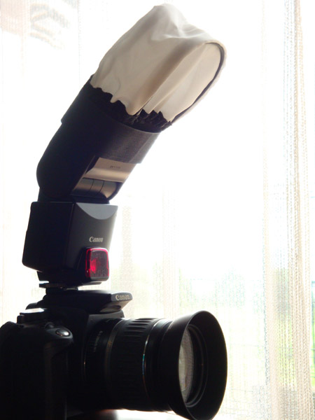 e0153022_111372.jpg