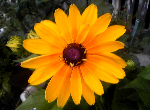 c0147123_23192519.jpg