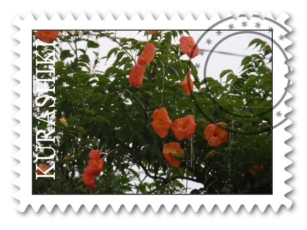 c0026824_17592697.jpg
