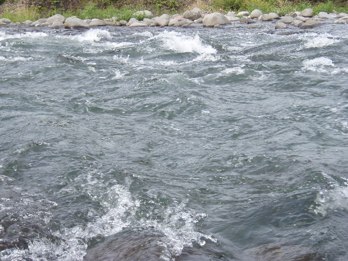 f0103126_19222012.jpg